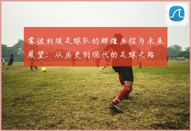 蒙彼利埃足球队的辉煌历程与未来展望：从历史到现代的足球之路