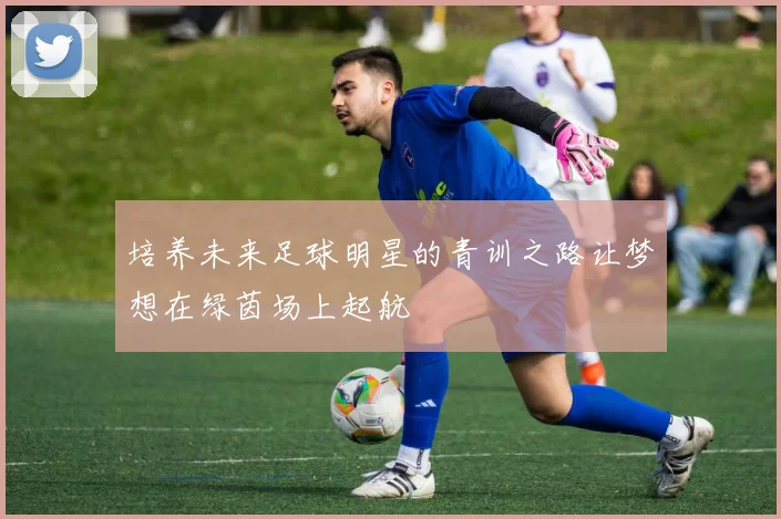 培养未来足球明星的青训之路让梦想在绿茵场上起航